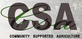 Logo CSA Netwerk